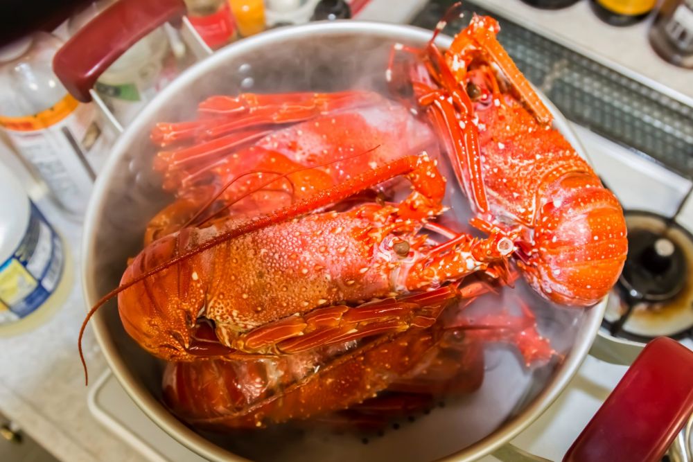 cara memasak lobster asam manis