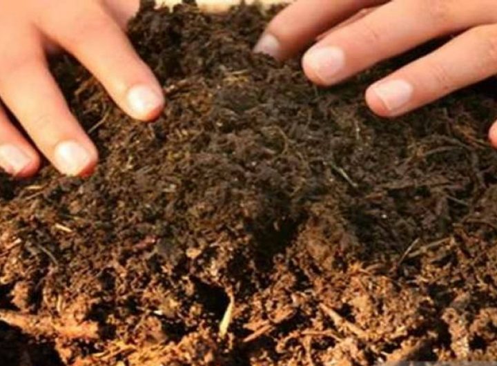 cara membuat pupuk kompos sederhana