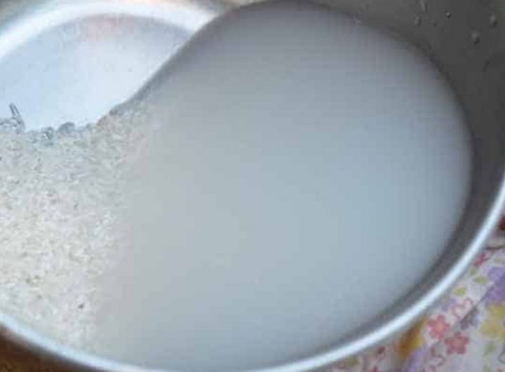 pupuk organik cair dari air cucian beras