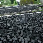 Briquette Applications in Developing Countries